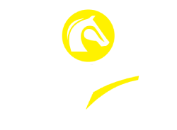 M.A.D. Moura